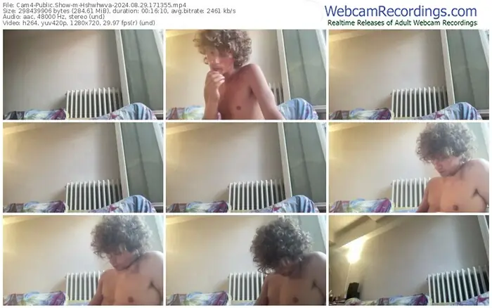 2024/08/29/cam4-hshwhwva-17-13-55