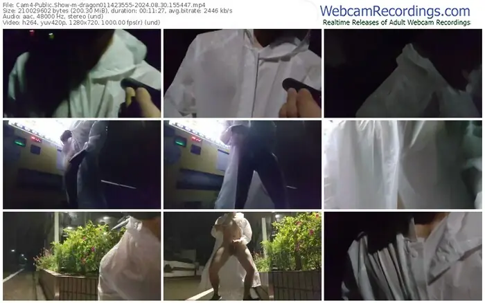 2024/08/30/cam4-dragon011423555-15-54-47
