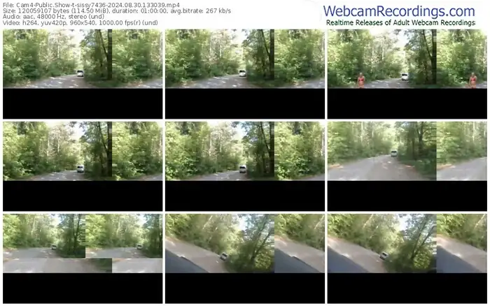 2024/08/30/cam4-sissy7436-13-30-39