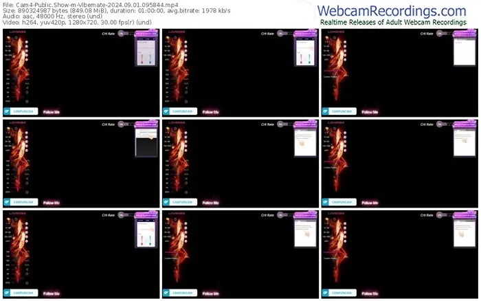 2024/09/01/cam4-vibemate-09-58-44