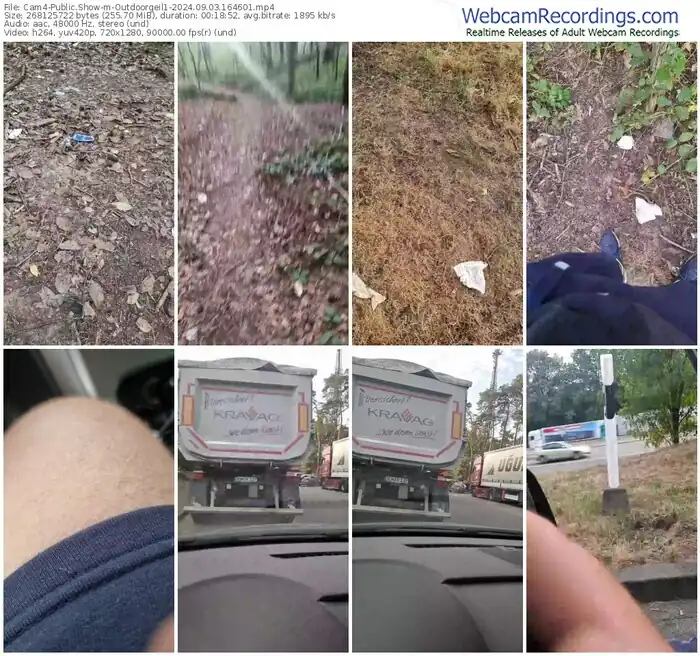 2024/09/03/cam4-outdoorgeil1-16-46-01