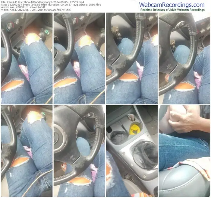 2024/09/05/cam4-wandaalysony9-12-35-53