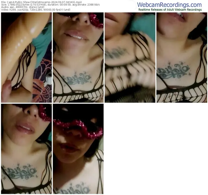 2024/09/07/cam4-merlotinvierno-04-34-31