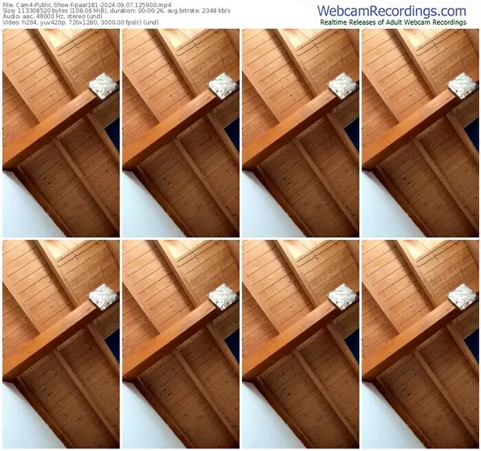 2024/09/07/cam4-paar181-12-59-00