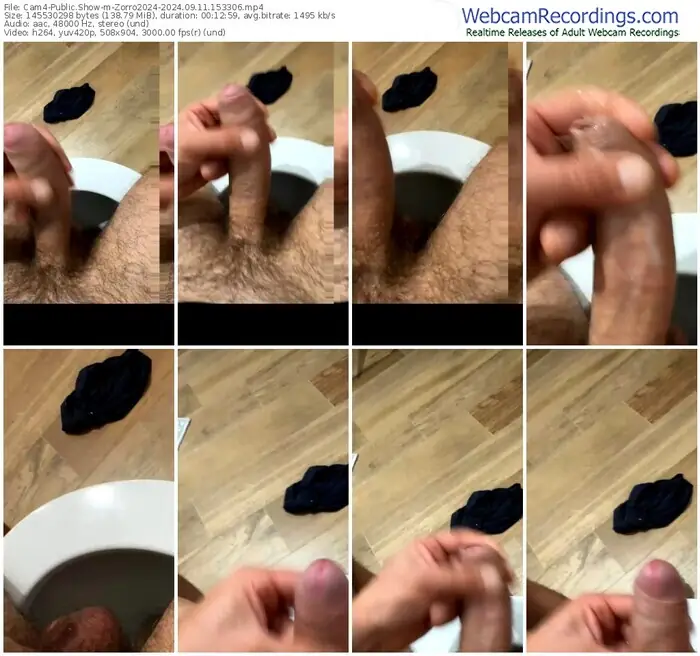 2024/09/11/cam4-zorro2024-15-33-06