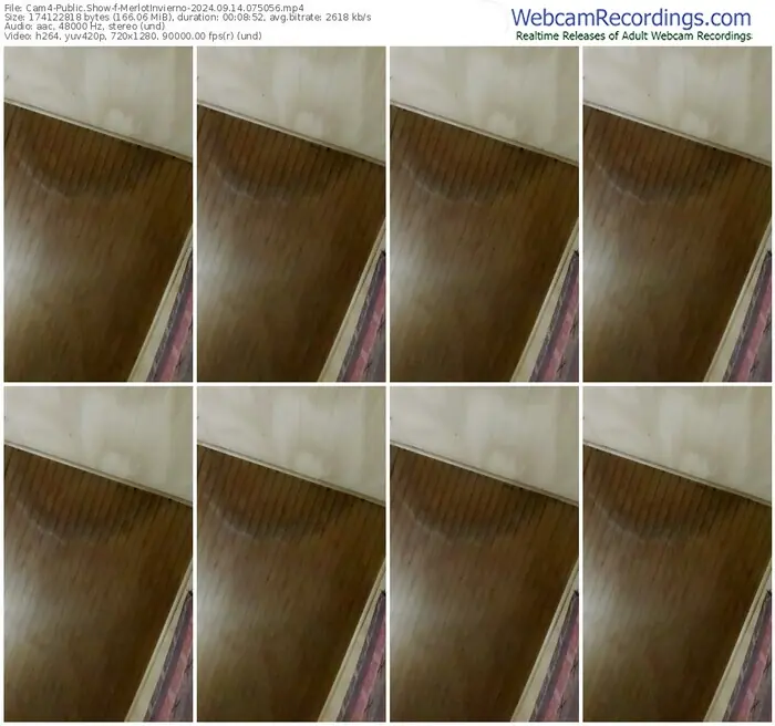 2024/09/14/cam4-merlotinvierno-07-50-56