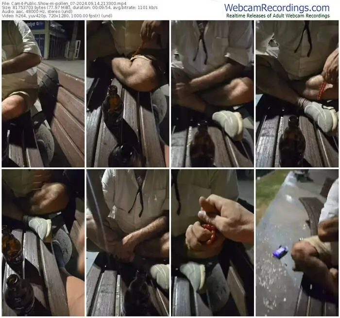 2024/09/14/cam4-pollen_07-21-33-00