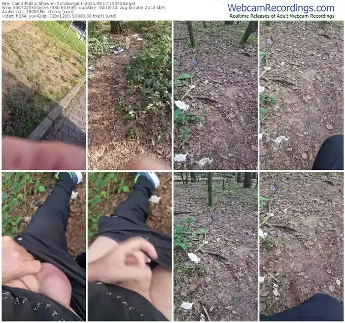 2024/09/17/cam4-outdoorgeil1-15-07-28