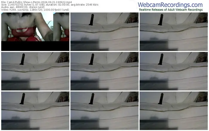 2024/09/21/cam4-permi-19-09-22