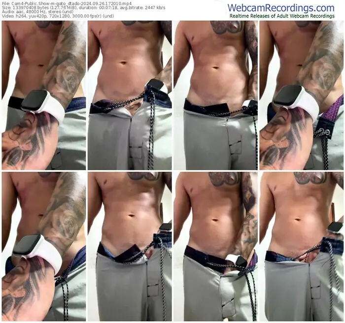 2024/09/26/cam4-gato_dtado-17-20-10