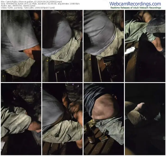 2024/09/26/cam4-pollen_07-20-59-32