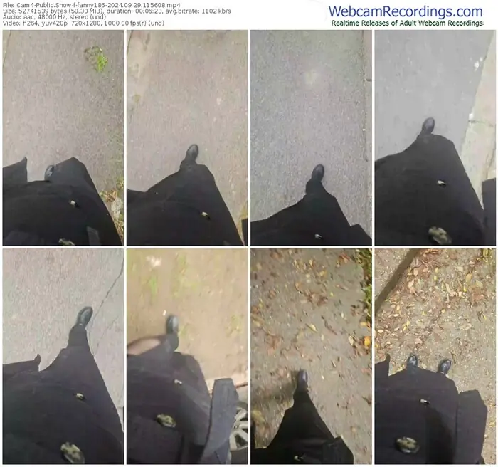 2024/09/29/cam4-fanny186-11-56-08