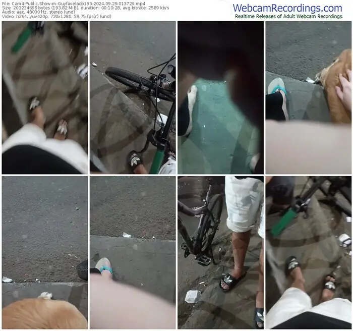 2024/09/29/cam4-guyfavelado193-01-37-29