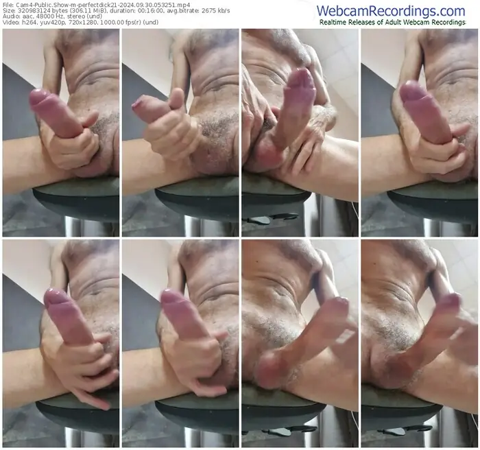 2024/09/30/cam4-perfectdick21-05-32-51
