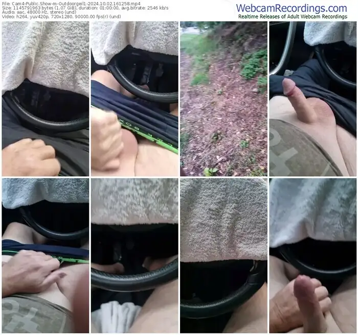 2024/10/02/cam4-outdoorgeil1-16-12-58