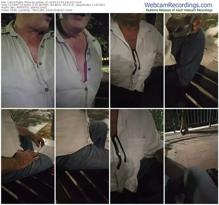 2024/10/02/cam4-pollen_07-18-12-47