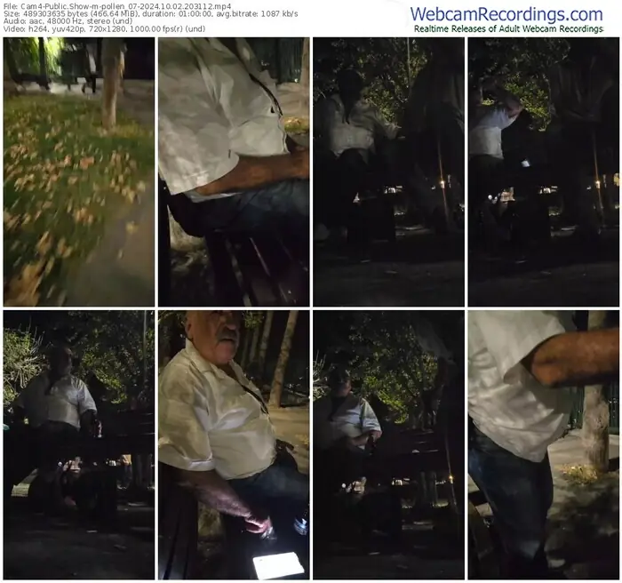 2024/10/02/cam4-pollen_07-20-31-12