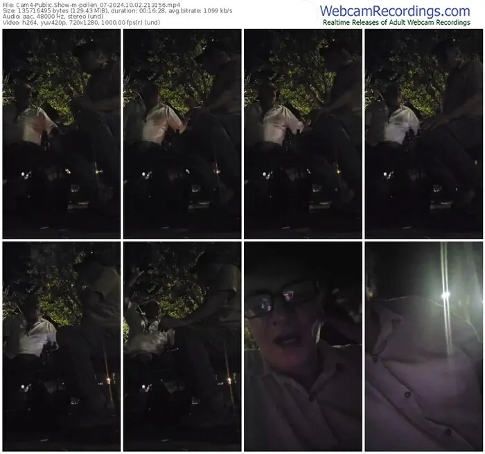 2024/10/02/cam4-pollen_07-21-31-56