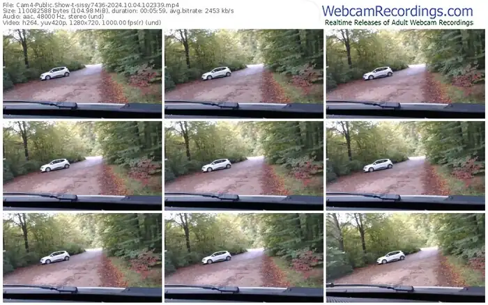 2024/10/04/cam4-sissy7436-10-23-39