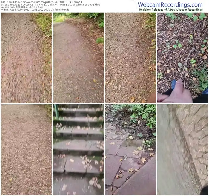 2024/10/06/cam4-outdoorgeil1-15-43-19