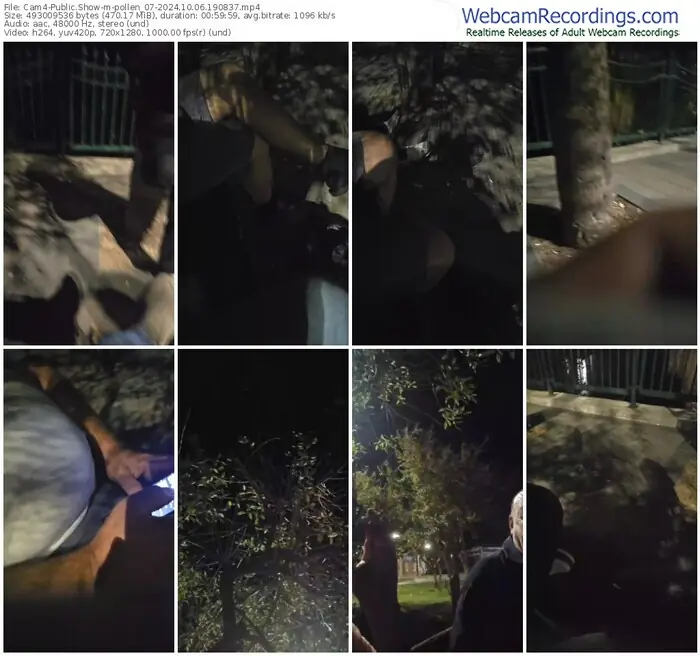 2024/10/06/cam4-pollen_07-19-08-37