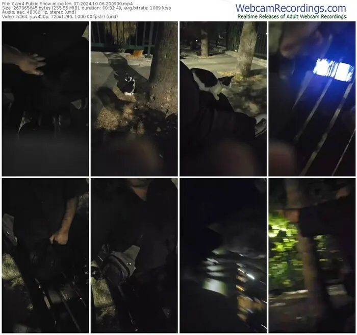 2024/10/06/cam4-pollen_07-20-09-00