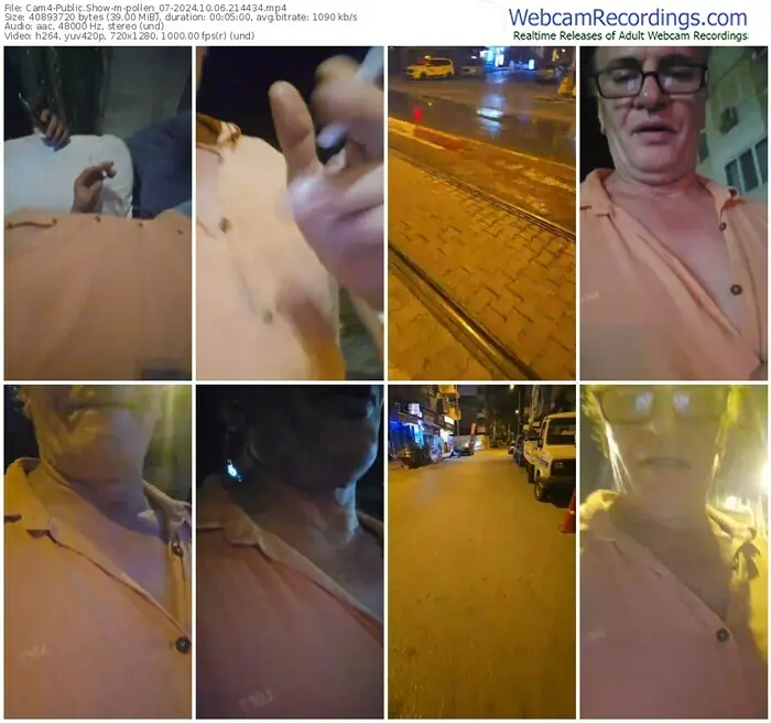 2024/10/06/cam4-pollen_07-21-44-34