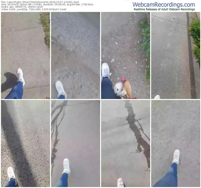 2024/10/07/cam4-merlotinvierno-12-43-01