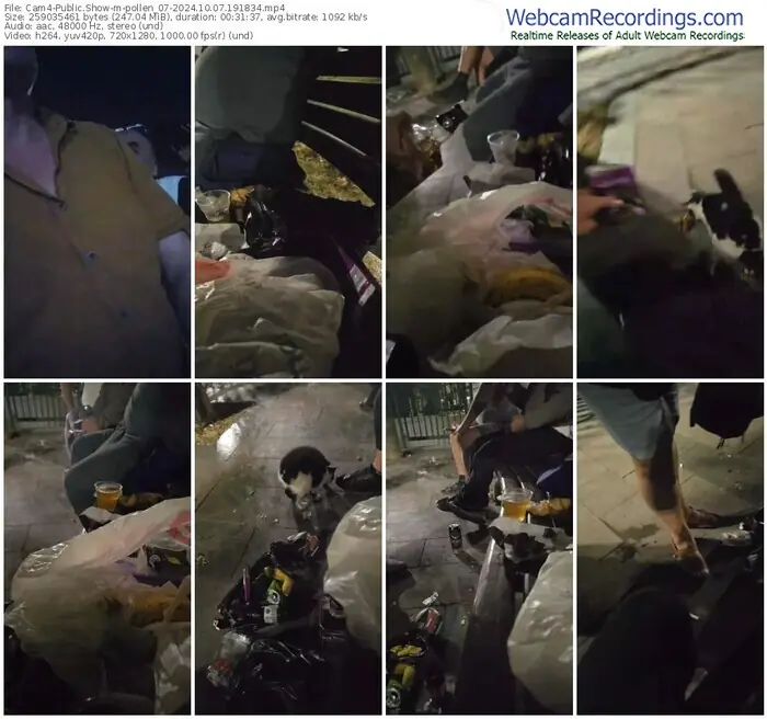 2024/10/07/cam4-pollen_07-19-18-34