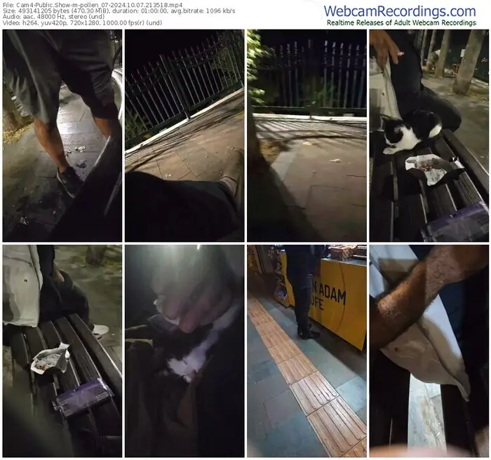 2024/10/07/cam4-pollen_07-21-35-18