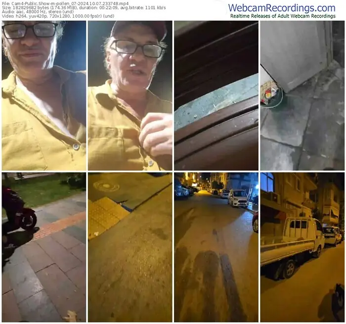 2024/10/07/cam4-pollen_07-23-37-48