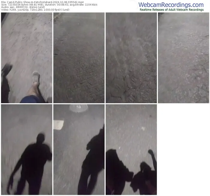 2024/10/08/cam4-fetichistahard-03-55-42