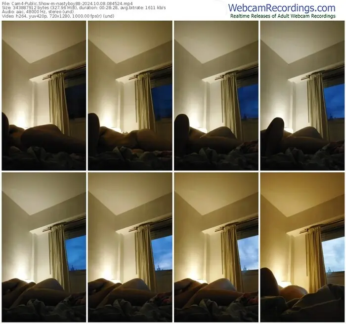 2024/10/08/cam4-nastyboy88-08-45-24