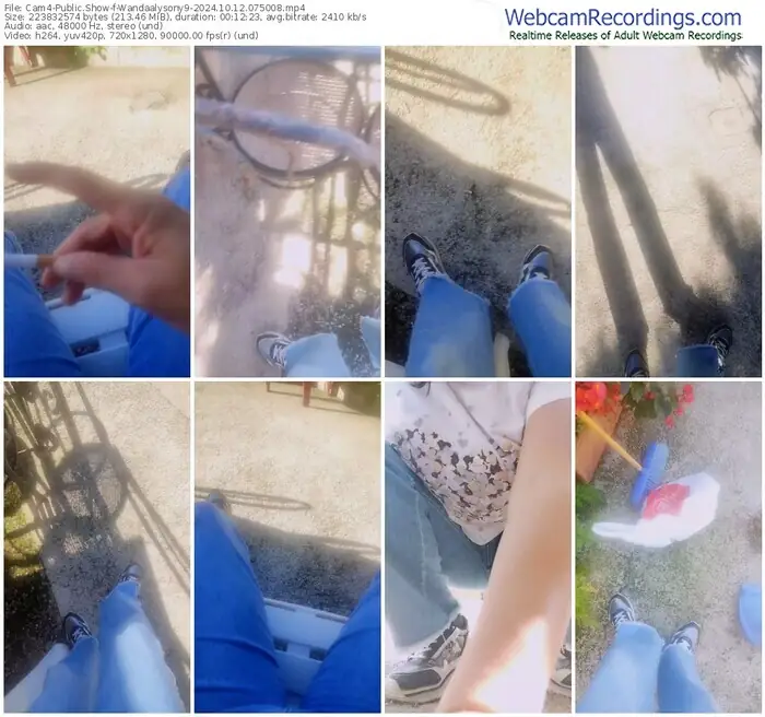 2024/10/12/cam4-wandaalysony9-07-50-08