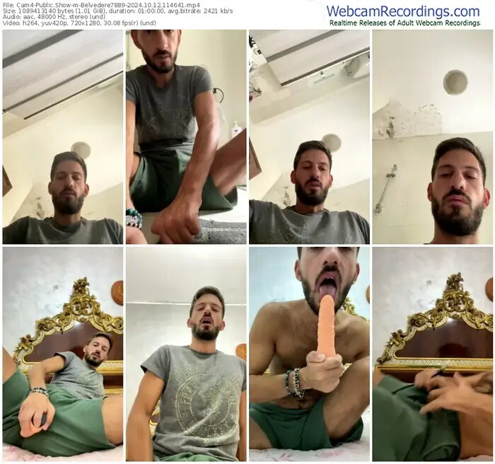 2024/10/12/cam4-belvedere7889-11-46-41