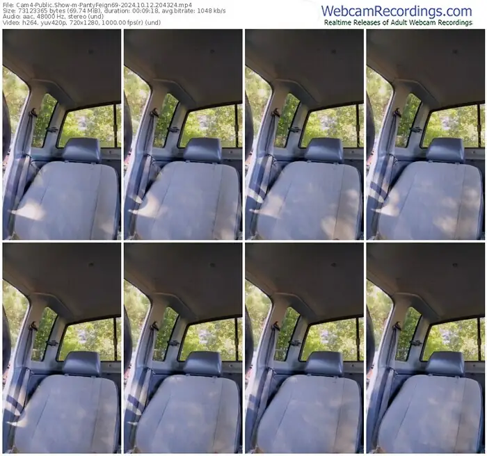 2024/10/12/cam4-pantyfeign69-20-43-24