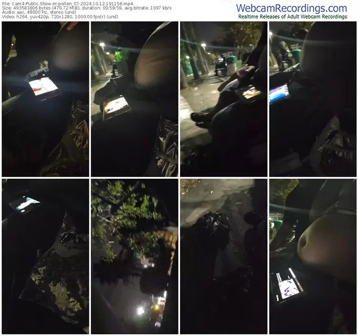 2024/10/12/cam4-pollen_07-19-11-58