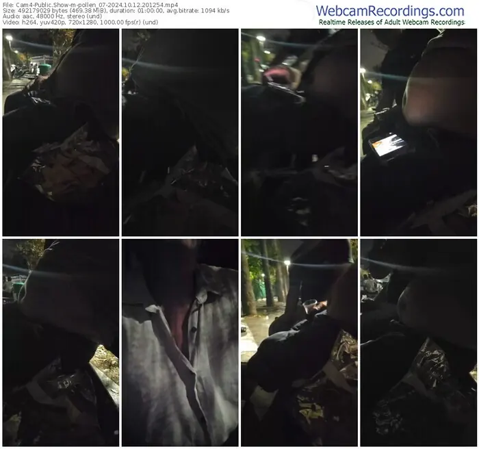 2024/10/12/cam4-pollen_07-20-12-54