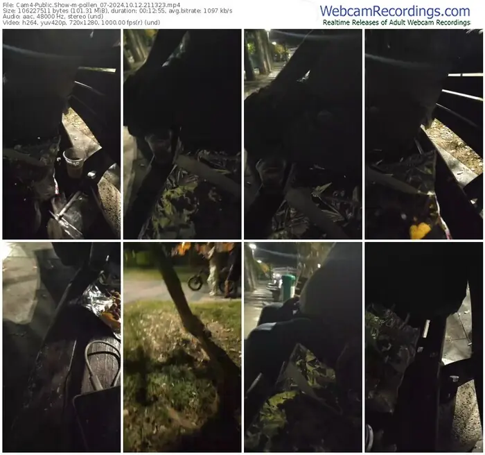 2024/10/12/cam4-pollen_07-21-13-23
