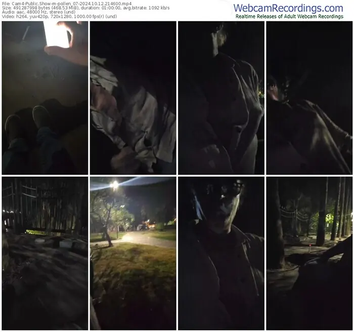 2024/10/12/cam4-pollen_07-21-46-00
