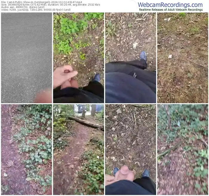 2024/10/13/cam4-outdoorgeil1-14-31-47