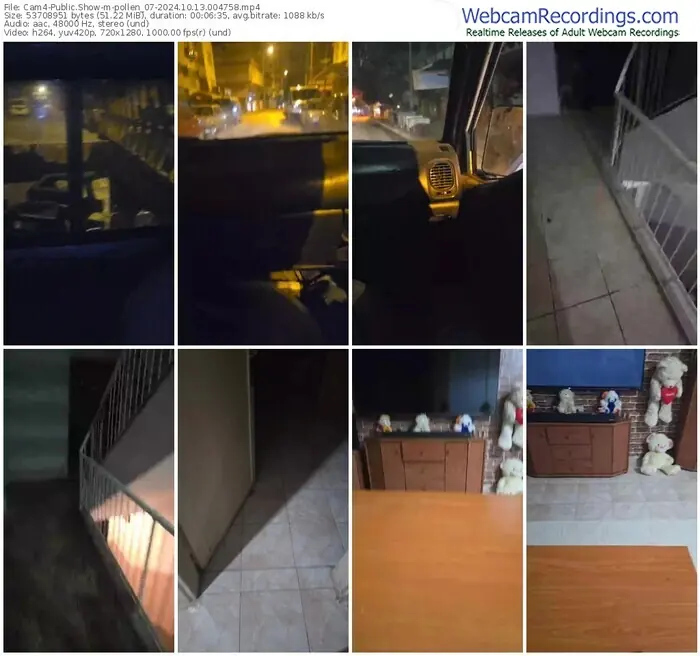 2024/10/13/cam4-pollen_07-00-47-58