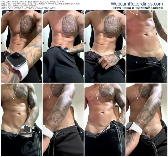 2024/10/14/cam4-gato_dtado-00-13-49