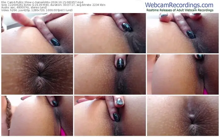 2024/10/15/cam4-ganselomix-08-19-57