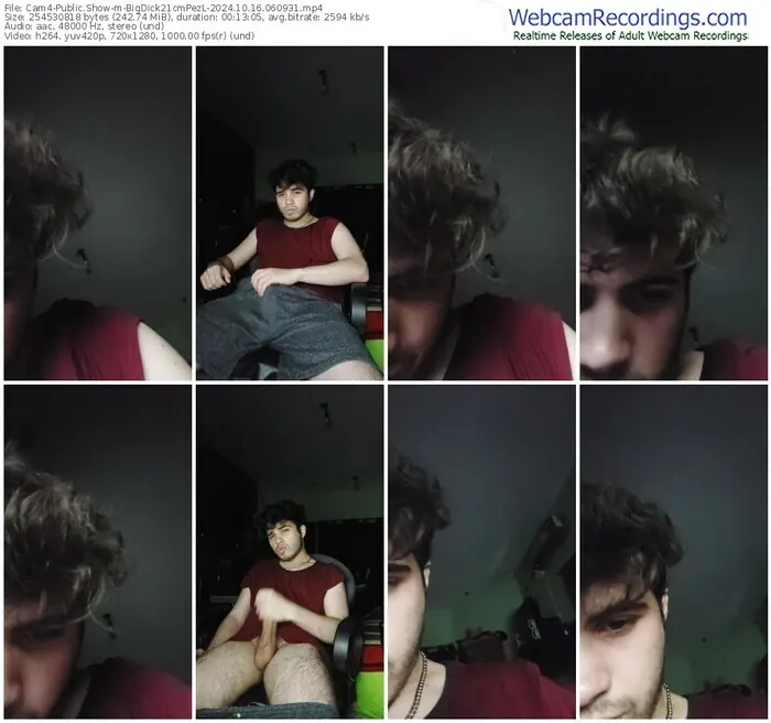 2024/10/16/cam4-bigdick21cmpezl-06-09-31