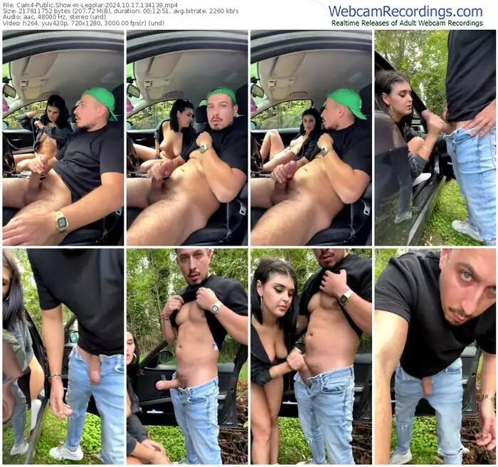 2024/10/17/cam4-legolar-13-41-39