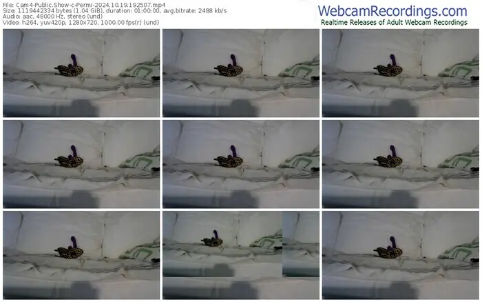 2024/10/19/cam4-permi-19-25-07