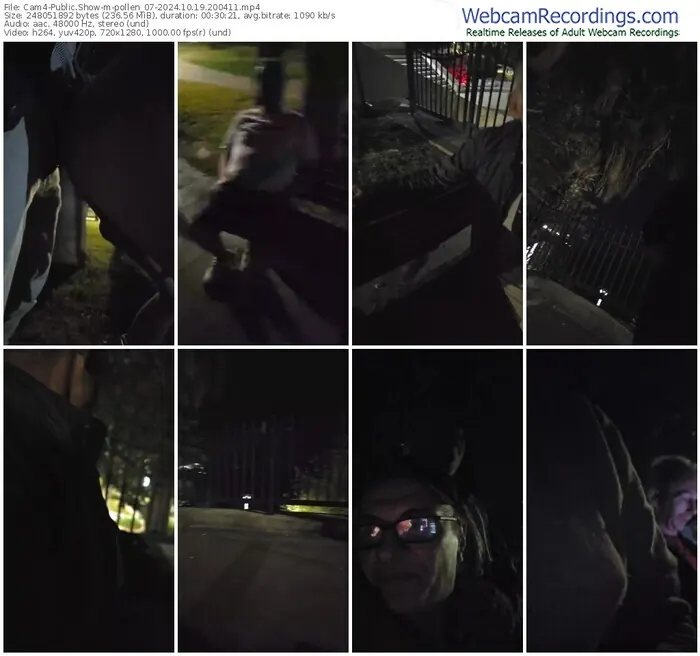 2024/10/19/cam4-pollen_07-20-04-11