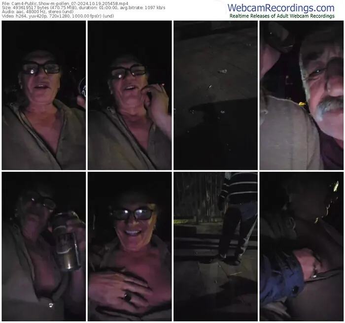 2024/10/19/cam4-pollen_07-20-54-58