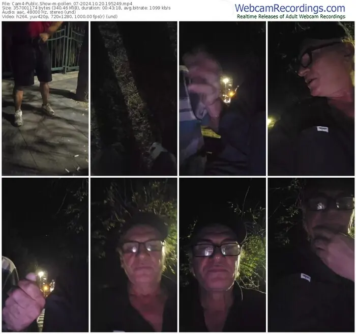 2024/10/20/cam4-pollen_07-19-52-49